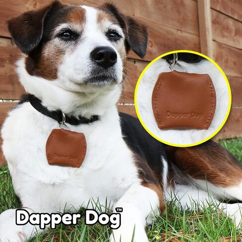 Dapper Dog Leather Dog Tag Silencer (Black) in Kuwait