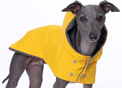 معطف واق من المطر بغطاء للرأس مقاوم للماء من Yigi Italian Greyhound مع فتحة للحزام، بطانة من الصوف - قابل للتعديل، خفيف الوزن، قابل للتنفس، معطف مطر للكلاب السلوقي الإيطالي (صغير) in Kuwait