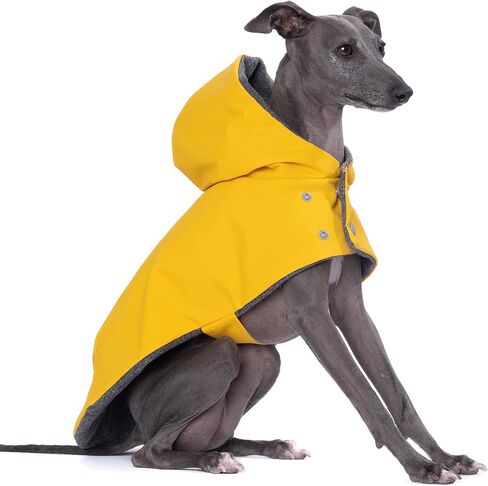 معطف واق من المطر بغطاء للرأس مقاوم للماء من Yigi Italian Greyhound مع فتحة للحزام، بطانة من الصوف - قابل للتعديل، خفيف الوزن، قابل للتنفس، معطف مطر للكلاب السلوقي الإيطالي (صغير) in Kuwait