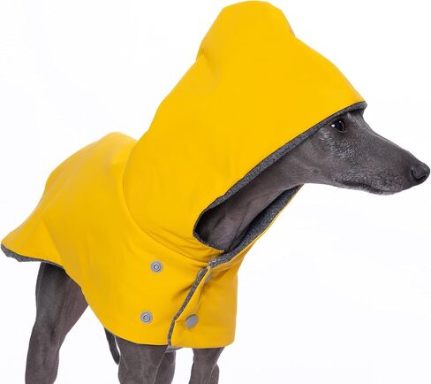 معطف واق من المطر بغطاء للرأس مقاوم للماء من Yigi Italian Greyhound مع فتحة للحزام، بطانة من الصوف - قابل للتعديل، خفيف الوزن، قابل للتنفس، معطف مطر للكلاب السلوقي الإيطالي (صغير) in Kuwait