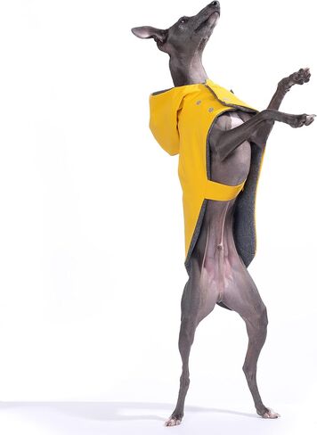 معطف واق من المطر بغطاء للرأس مقاوم للماء من Yigi Italian Greyhound مع فتحة للحزام، بطانة من الصوف - قابل للتعديل، خفيف الوزن، قابل للتنفس، معطف مطر للكلاب السلوقي الإيطالي (صغير) in Kuwait