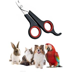 WenTigDY Solid Stainless Steel Bird Nail Clipper, Bird Cage Essential Accessories, Bird Grooming Tool Accessory for Pet Store & Parrot in Kuwait