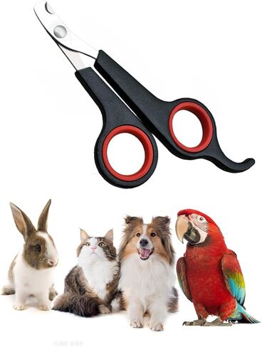 WenTigDY Solid Stainless Steel Bird Nail Clipper, Bird Cage Essential Accessories, Bird Grooming Tool Accessory for Pet Store & Parrot in Kuwait