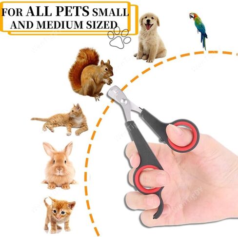 WenTigDY Solid Stainless Steel Bird Nail Clipper, Bird Cage Essential Accessories, Bird Grooming Tool Accessory for Pet Store & Parrot in Kuwait