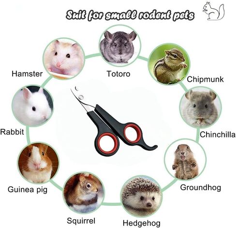 WenTigDY Solid Stainless Steel Bird Nail Clipper, Bird Cage Essential Accessories, Bird Grooming Tool Accessory for Pet Store & Parrot in Kuwait