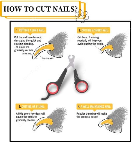 WenTigDY Solid Stainless Steel Bird Nail Clipper, Bird Cage Essential Accessories, Bird Grooming Tool Accessory for Pet Store & Parrot in Kuwait