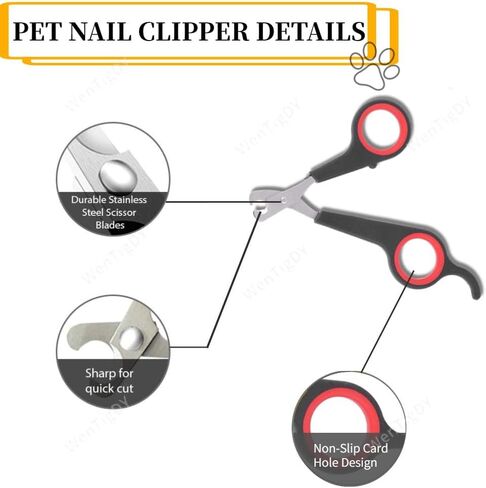 WenTigDY Solid Stainless Steel Bird Nail Clipper, Bird Cage Essential Accessories, Bird Grooming Tool Accessory for Pet Store & Parrot in Kuwait