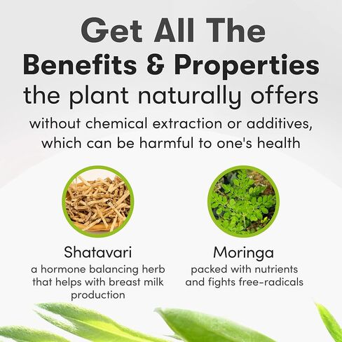 أيورو - كبسولات شاتافاري العضوية، مكمل الرضاعة، كبسولات شاتافاري + المورينغا، مكملات تخفيف الدورة الشهرية وانقطاع الطمث، توازن الهرمونات الطبيعي للنساء، دعم المناعة الأيورفيدا، 150 كبسولة in Kuwait