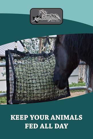 كنسينغتون في لندن in Kuwait