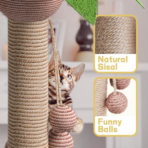 Western Home Large Cat Scratching Post, 32 Inches Tall Cat Scratch Post with 2 Cat Scratcher, Coconut Tree Scratching Post for Indoor Cats with Hanging Balls in Kuwait