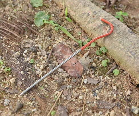 iBasingo 12pcs/lot Titanium Alloy Pegs Outdoor Camping Tent Stakes Portable Elbow Grass Tent Nail A-Ti4001P in Kuwait