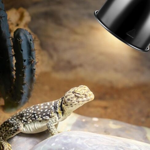 Baquler 6 Pcs Reptile Deep Aluminum Dome Heat Lamp Reptile Basking Heat Lamp Fixture with Hooking Temperature Gauge Black Dome Light for Bearded Dragon Turtles Snake and Lizard Terrarium in Kuwait