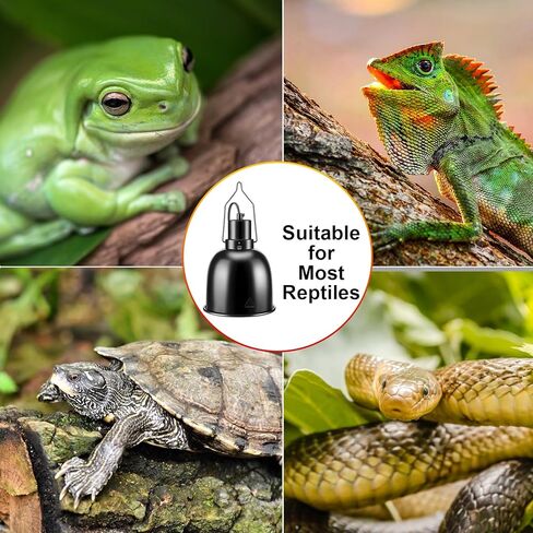 Baquler 6 Pcs Reptile Deep Aluminum Dome Heat Lamp Reptile Basking Heat Lamp Fixture with Hooking Temperature Gauge Black Dome Light for Bearded Dragon Turtles Snake and Lizard Terrarium in Kuwait