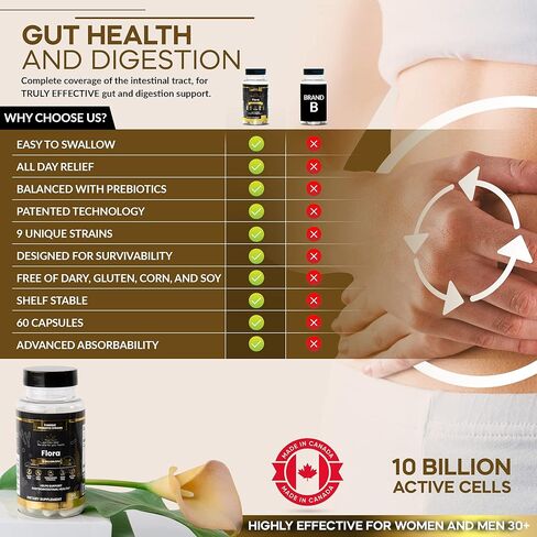 البروبيوتيك للبالغين لصحة الجهاز الهضمي [60 كبسولة] - مكمل البيفيدوباكتريوم والعصيات اللبنية مع 9 سلالات بروبيوتيك نباتية - بدون الغلوتين أو منتجات الألبان - البروبيوتيك غير المعدل وراثيًا للنساء والرجال in Kuwait