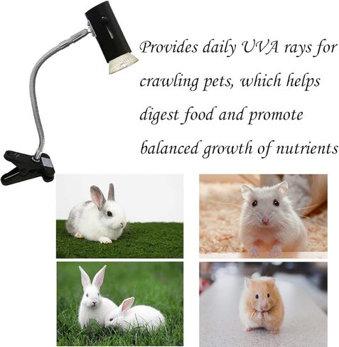 جابرادن سخان حظيرة الحيوانات الاليفة للزواحف بقدرة 50 واط اكثر امانا من مصابيح الحضنة المستخدمة للارانب والدجاج والهامستر والحيوانات الصغيرة الاخرى (اسود) in Kuwait