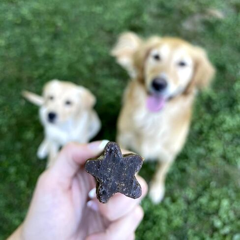 Best Bully Sticks مضغ أسنان طبيعي بالكامل للكلاب - مضغ أسنان بيفي على شكل نجمة - مكونات محدودة، كولاجين، لحم بقر حقيقي، قابل للهضم بنسبة 100% - يعزز صحة الأسنان وصحتها - 6 عبوات in Kuwait