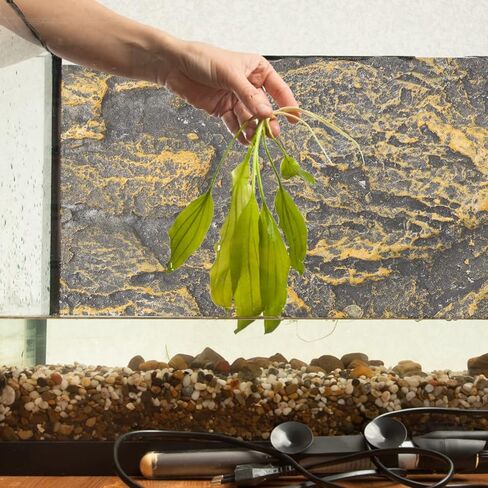 Ipetboom حاويات زجاجية Terrarium خلفية 3D الزواحف خزان خلفية المجلس البرمائي ستيريو خلفية جدار ثعبان الموئل ديكور لسحلية التنين الملتحي أبو بريص العنكبوت السلحفاة الأسماك التنين ديكور in Kuwait