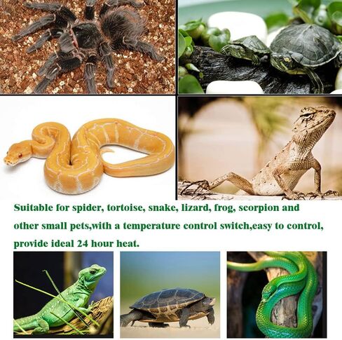 14W حصيرة تسخين الزواحف 5.9 بوصة * 11 بوصة 110 فولت - وسادة حرارة الزواحف مع تعديل درجة الحرارة، حصائر تررم الحرارية، حصيرة حرارة الزواحف الآمنة للسلحفاة والسلحفاة والثعابين والسحلية وسرطان أبو بريص الناسك in Kuwait
