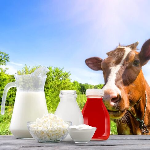 6 Pcs 16oz Glass Milk Bottles with Lids Small Milk Bottles Container with Lid for Refrigerator Storage Reusable Glass Bottles for Homemade Almond Milk Coffee Creamer Parties Breakfast Wedding Picnic in Kuwait