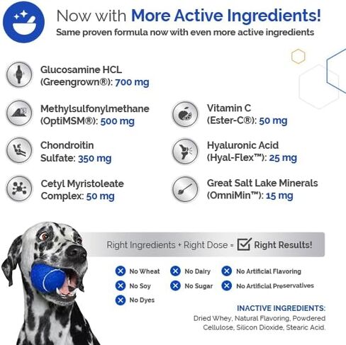 Topdog Health - غليكانيد HA الجلوكوزامين للكلاب مكمل للورك والمفاصل - مضغ لمفاصل الكلاب مصنوع في الولايات المتحدة الأمريكية - حمض الهيالورونيك للعناية بالورك والمفاصل للكلاب - تخفيف آلام مفاصل الكلاب مع Cetyl M للكلاب in Kuwait