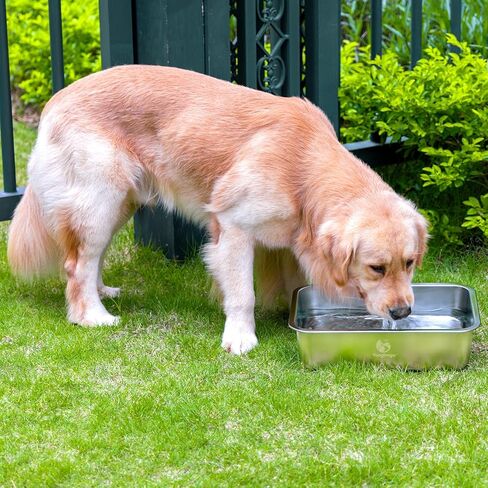 وعاء ماء كبير للكلاب من يانجباجا سعة 3.8 جالون، وعاء من الفولاذ المقاوم للصدأ بدرجة الطعام مضاد للانزلاق للكلاب الكبيرة، وعاء ماء معدني للكلاب الكبيرة، داخلي وخارجي in Kuwait