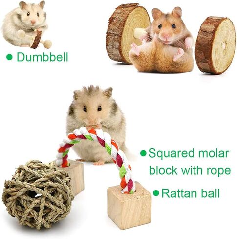 ألعاب مضغ الهامستر من LKJYBG، 10 قطع من الدمبل الخشبية الطبيعية للحيوانات الأليفة، لعبة مولار للعناية بالأسنان للببغاء الهامستر السوري جربيل الجرذ غينيا خنزير جيربيل إلخ. الحيوانات الصغيرة in Kuwait