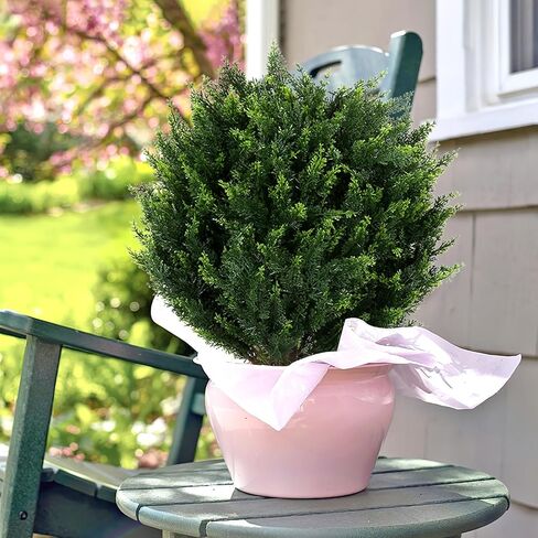 Keepinno 21''T Artificial Cedar Topiary Ball Tree 2 Pack, Outdoors Artificial Shrubs Fake Plants Uv Rated Potted Plants for Outdoor, Indoor, Front Door, Office Decor. in Saudi Arabia