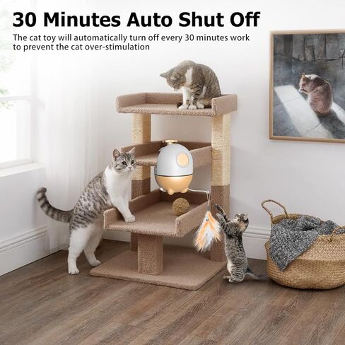 ألعاب القطط من ريوفلاي، لعبة مؤشر ليزر أوتوماتيكية 2 في 1 وألعاب ريش القطط، ألعاب القطط التفاعلية للقطط الداخلية، لعب المطاردة، مستلزمات الحيوانات الأليفة in Kuwait