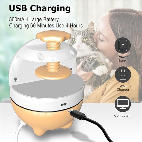 ألعاب القطط من ريوفلاي، لعبة مؤشر ليزر أوتوماتيكية 2 في 1 وألعاب ريش القطط، ألعاب القطط التفاعلية للقطط الداخلية، لعب المطاردة، مستلزمات الحيوانات الأليفة in Kuwait