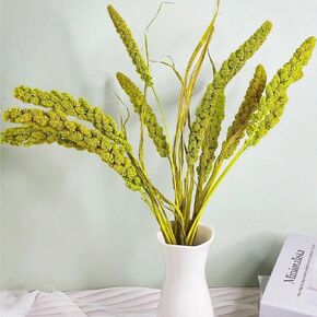 Dried Millet Stems Wheat Flowers - 10 Pcs Real Autumn Flowers with Stems Bulk, 100% Natural Millet Dry Flowers for Boho Home Decor, Floral Vase Arrangement, Wedding, DIY Crafts, Farmhouse Decor in Kuwait