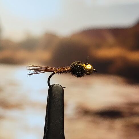 حورية ذيل الدراج ذات رأس الخرزة - الذبابة الرطبة - الحجم # - عبوة من 3 - جودة مربوطة يدويًا - سمكة الذبابة لسمك السلمون المرقط، والباس، والبلوجيل، والكرابي، والرمادي، وغيرها من أسماك الألعاب - شركة Golden Tippet Fly Co. in Kuwait