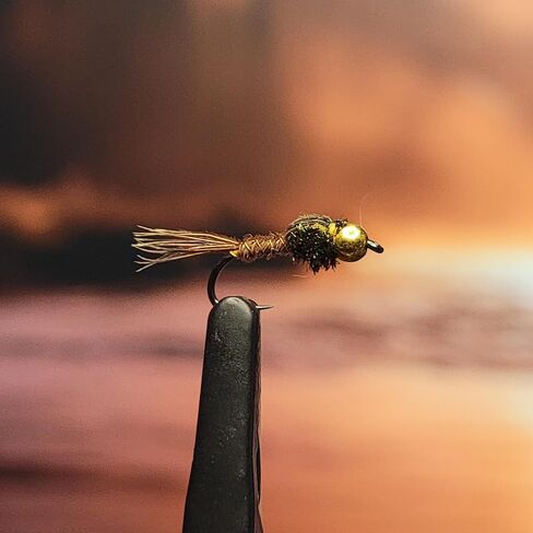 حورية ذيل الدراج ذات رأس الخرزة - الذبابة الرطبة - الحجم # - عبوة من 3 - جودة مربوطة يدويًا - سمكة الذبابة لسمك السلمون المرقط، والباس، والبلوجيل، والكرابي، والرمادي، وغيرها من أسماك الألعاب - شركة Golden Tippet Fly Co. in Kuwait