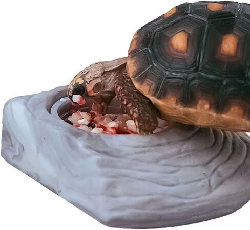 Tortoise Food Instant Meal 7 x 0.21-Ounce (6.0 Grams) Cups in Saudi Arabia