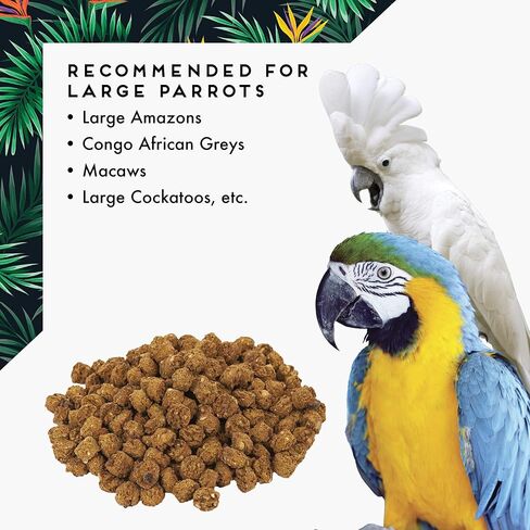 Oven Fresh Bites Baked Avian Diet - Small Parrot - 15 Lb. Bulk Box in Kuwait