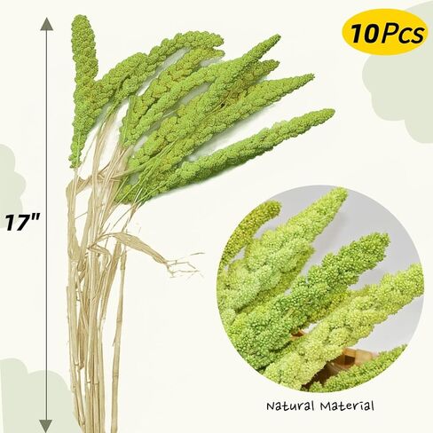 Dried Millet Stems Wheat Flowers - 10 Pcs Real Autumn Flowers with Stems Bulk, 100% Natural Millet Dry Flowers for Boho Home Decor, Floral Vase Arrangement, Wedding, DIY Crafts, Farmhouse Decor in Kuwait