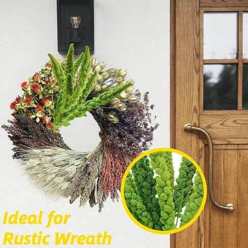 Dried Millet Stems Wheat Flowers - 10 Pcs Real Autumn Flowers with Stems Bulk, 100% Natural Millet Dry Flowers for Boho Home Decor, Floral Vase Arrangement, Wedding, DIY Crafts, Farmhouse Decor in Kuwait