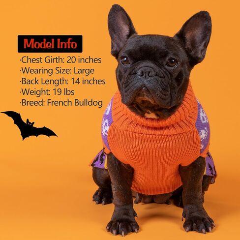 KYEESE Valentines Day Dog Sweaters Colorful Radiant Printing Love Design with Leash Hole Pet Sweater Pet Clothes,M in Kuwait