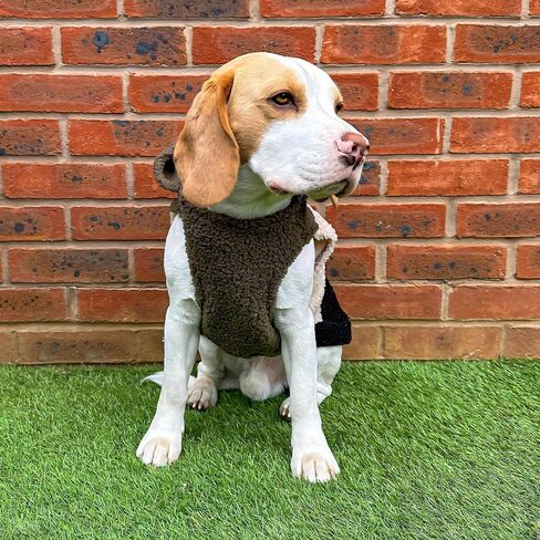 Fitwarm Vest Sherpa Dog Hoodie، ملابس للكلاب الصغيرة، صبي فتاة، سترة شتوية للحيوانات الأليفة، ملابس للقطط، أخضر، أسود، X-Small in Kuwait