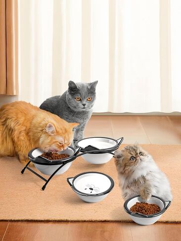 Y YHY Cat Food Bowls, 12 oz Raised Cat Bowls for Food and Water,Ceramic Elevated Pet Dishes Bowls with Stand, Cats and Small Dogs, Dishwasher Safe in Kuwait