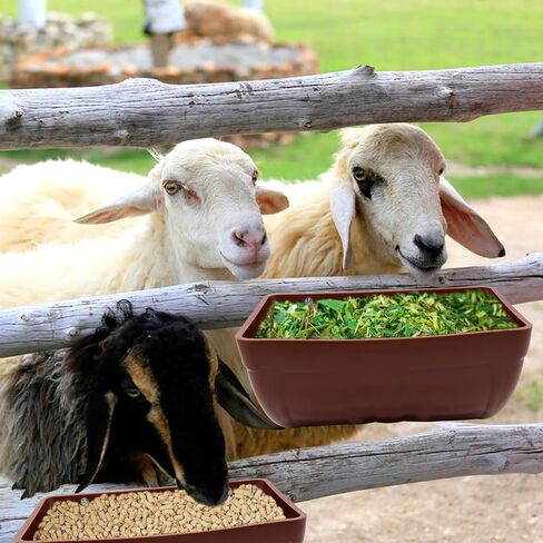 2 عبوة من حوض تغذية الدجاج مع مشابك معلقة لتغذية السياج للماعز والدجاج والبط والأوز والغزلان والأغنام والخنازير وحاوية تغذية دلو مياه الدواجن لمستلزمات تغذية الماشية والماعز (بني) in Kuwait