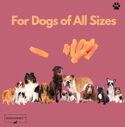 DOGCHEWZ™ Premium Chicken Wrapped Sweet Potato Jerky Treats for Dogs | Size: 1 LB (37-41 Pieces) | Made with Real Chicken and Sweet Potato, Easily Digestible, Long Lasting in Kuwait