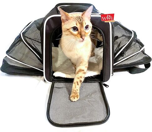 Wigzi Expandable Pet Travel Carrier for Cats, Small Dogs and Pets Up to 20lbs with Rechargeable Interior LED Light - TSA Airline Approved, Expandable Soft Sided Walls, 4-Doors and Removable Padding in Kuwait