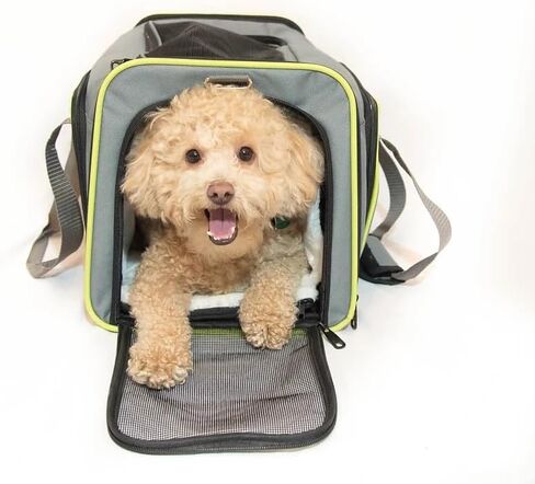 Wigzi Expandable Pet Travel Carrier for Cats, Small Dogs and Pets Up to 20lbs with Rechargeable Interior LED Light - TSA Airline Approved, Expandable Soft Sided Walls, 4-Doors and Removable Padding in Kuwait