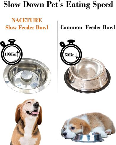 Elevated Slow Feeder Dog Bowls for Large Dogs with Wall Mounted Dog Food Bowls (2 Pack 48 OZ) Stainless-Steel Bowls with Raised Holders for Indoor and Outdoor Puppies in Kuwait