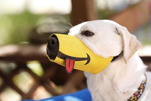 Cesar Millan Funny Muzzle, Smiley (Size 1, Yellow) in Kuwait