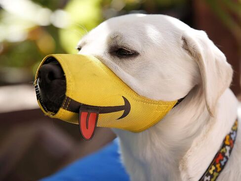 Cesar Millan Funny Muzzle, Smiley (Size 1, Yellow) in Kuwait