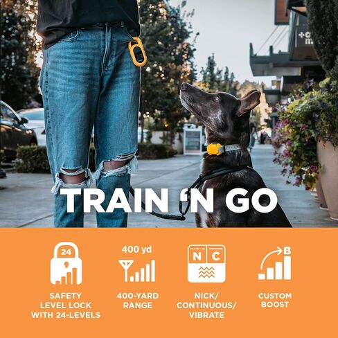 Dogtra CUE طوق إلكتروني أنيق سهل الاستخدام مع اهتزاز مقاوم للماء وقابل لإعادة الشحن، طوق تدريب عن بعد للكلاب الصغيرة والمتوسطة والكبيرة (الجيل الأول) in Kuwait