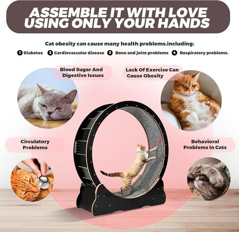 عجلة تمرين القطط دوكال للقطط الداخلية، عجلات جري كبيرة للقطط بقطر 39.4 بوصة، عجلة مشي للقطط سهلة التجميع مع عملية قفل ولعبة ليزر للقطط، تشغيل هادئ للغاية لصحة القطط in Kuwait