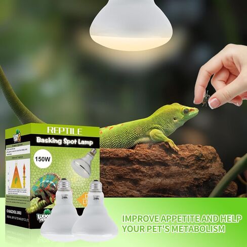 LUCKY HERP Heat Lamp Bulbs - 150W Reptile Heat Lamp 2 Pack, Daylight Basking Heat Lamp Bulbs for Reptile, UVA Heat Light Bulb for Reptiles, Amphibians, Bearded Dragons, Lizards, Turtles, Chickens in Saudi Arabia