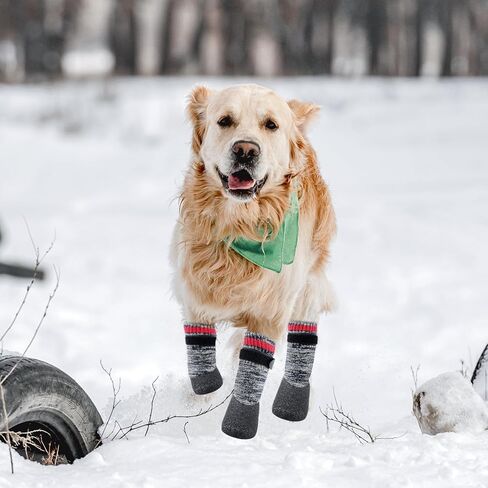 QINLECTRI 2 Pairs Dog Socks Anti Slip Dog Socks Boots Anti-Slip Dog Paw Protector Waterproof Rubber Bottom Dog Shoes Rubber Sole Dog Boots with Adjustable Straps for Indoor Outdoor Wear in Kuwait